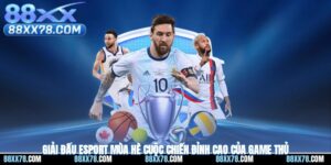 Giải Đấu Esport Mùa Hè - Cuộc Chiến Đỉnh Cao Của Game Thủ